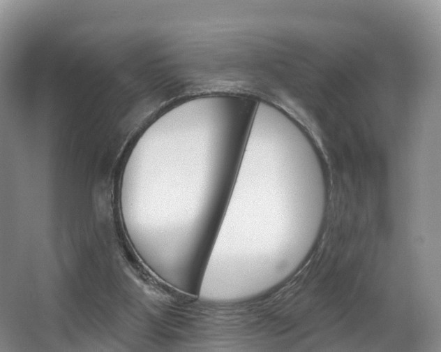 X0000067470107200604071003