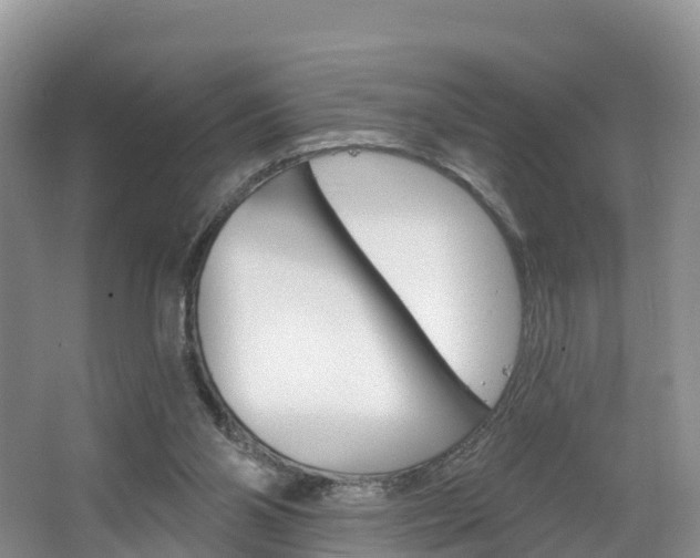 X0000067470110200604071003