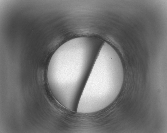 X0000067470115200604071003
