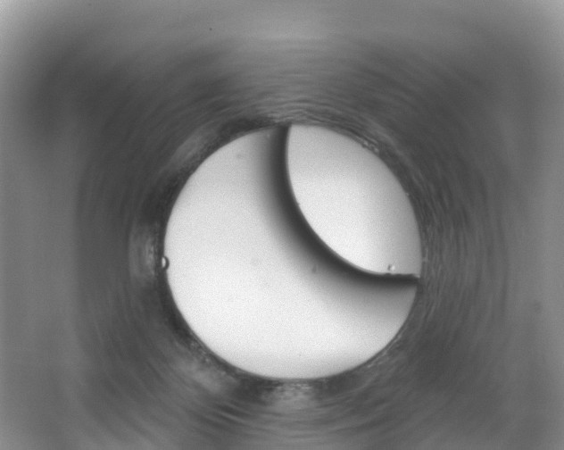 X0000067470124200604071002