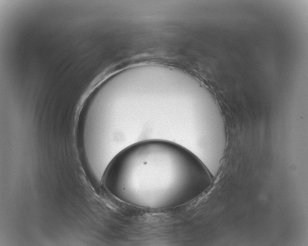 X0000067470150200604071001