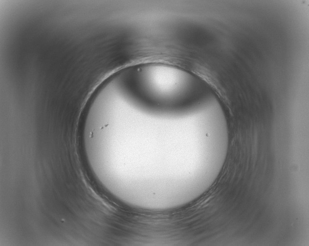 X0000067470156200604071001