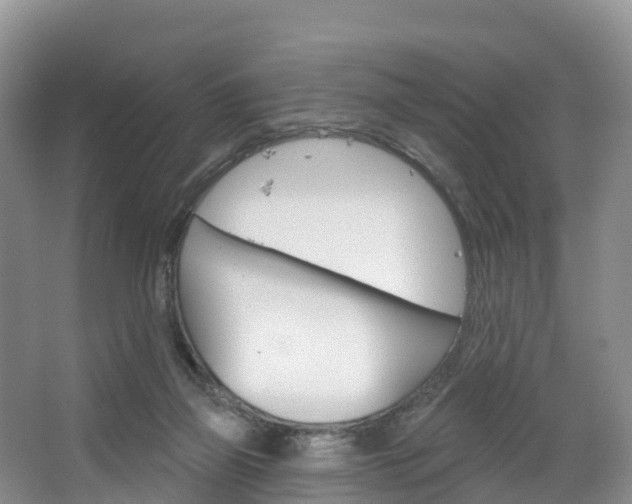 X0000067470165200604071002