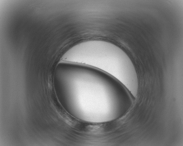 X0000067470170200604071002