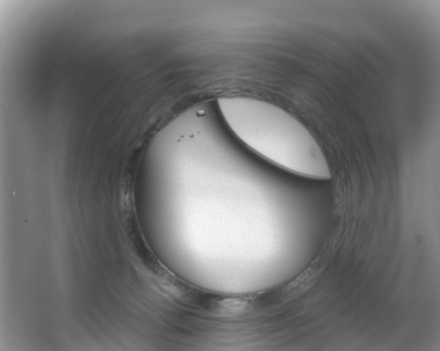 X0000067470176200604071002