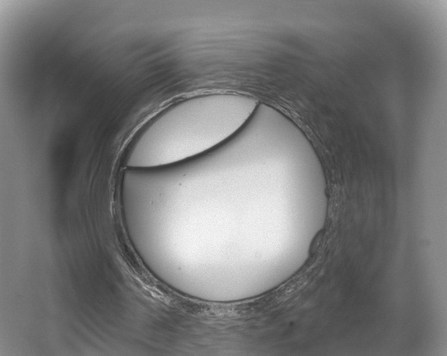 X0000067470194200604071001