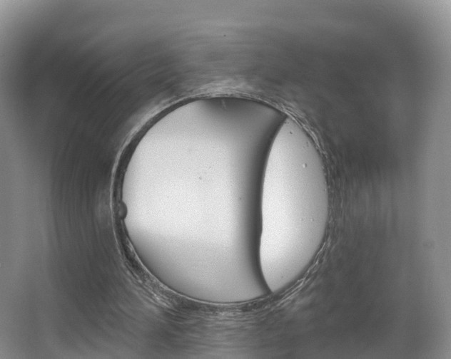X0000067470196200604071001