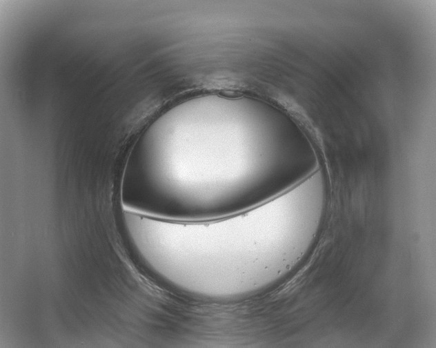X0000067470201200604071001