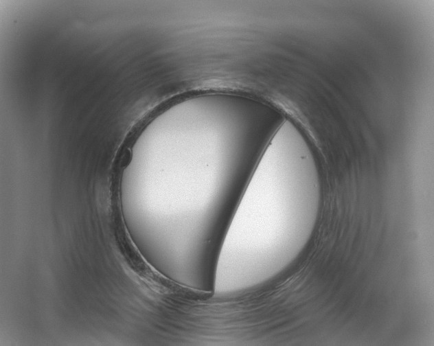 X0000067470204200604071001