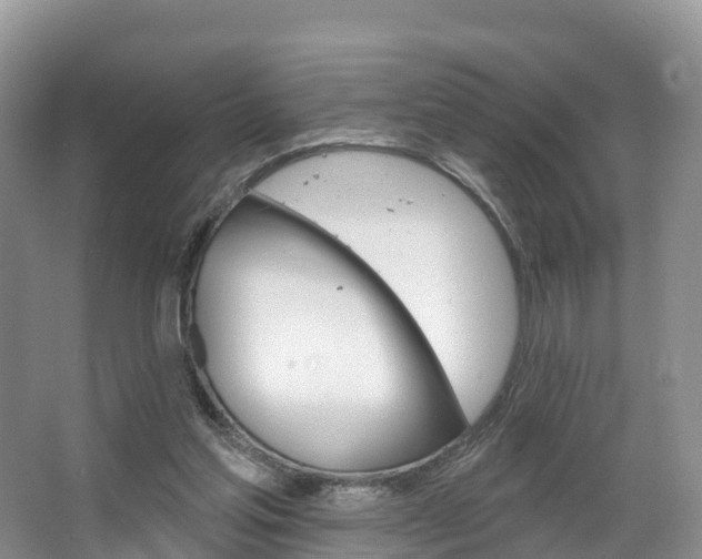X0000067470205200604071001