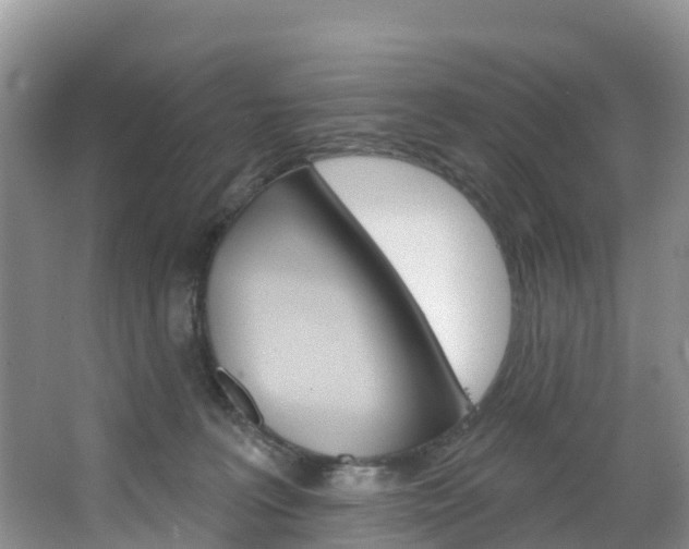 X0000067470227200604071001