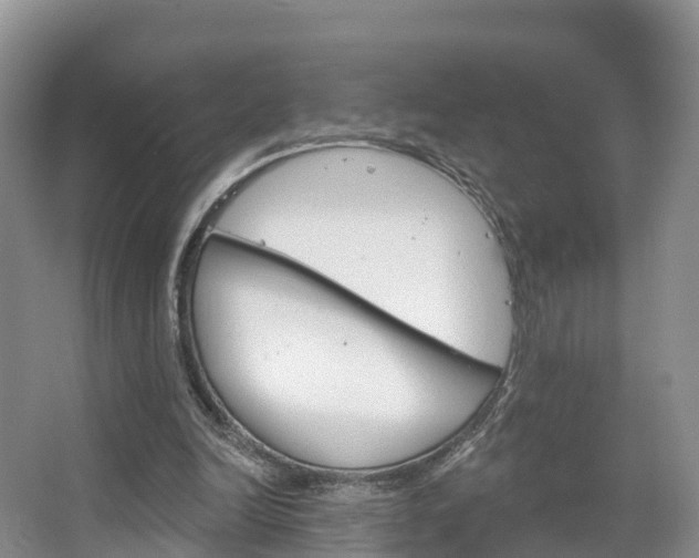X0000067470246200604071000