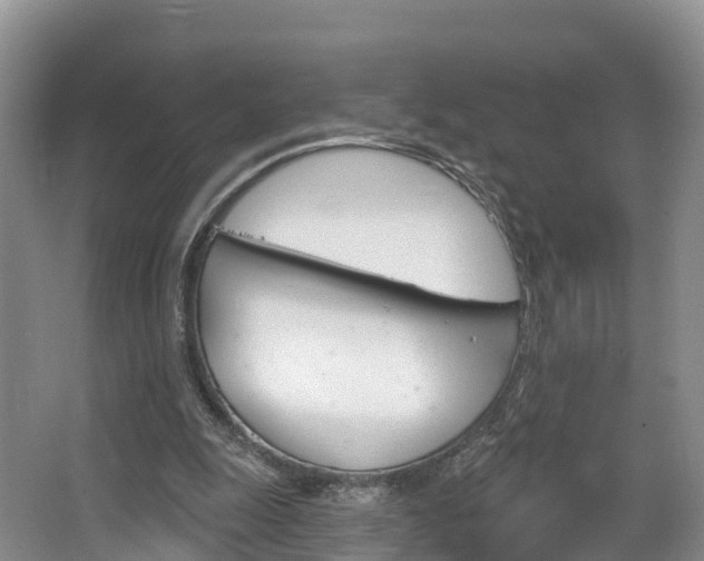 X0000067470247200604071000