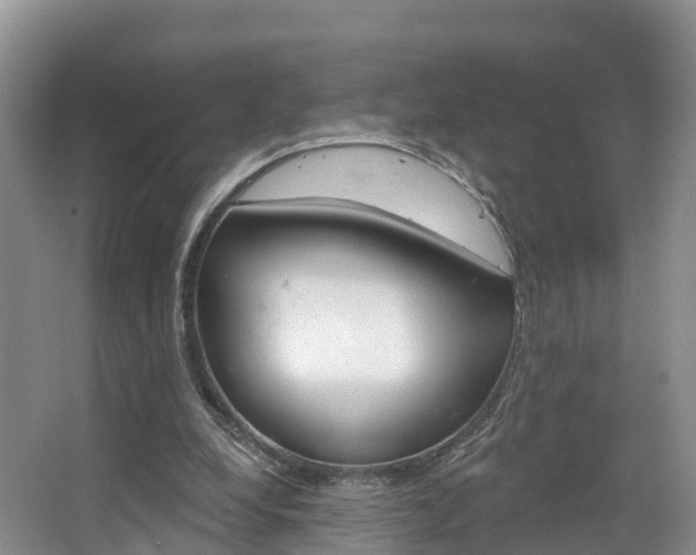 X0000067470248200604071000