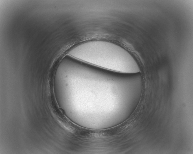 X0000067470250200604071000