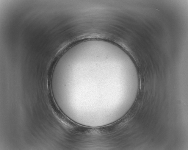 X0000067470253200604071000