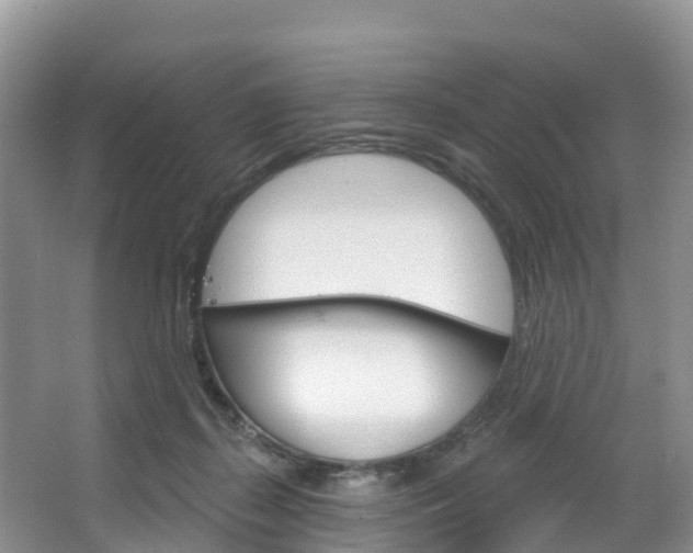 X0000067470267200604071000