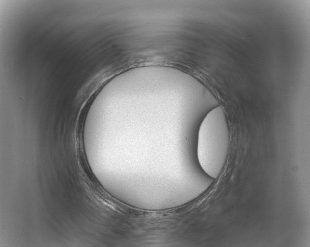 X0000067470290200604071000