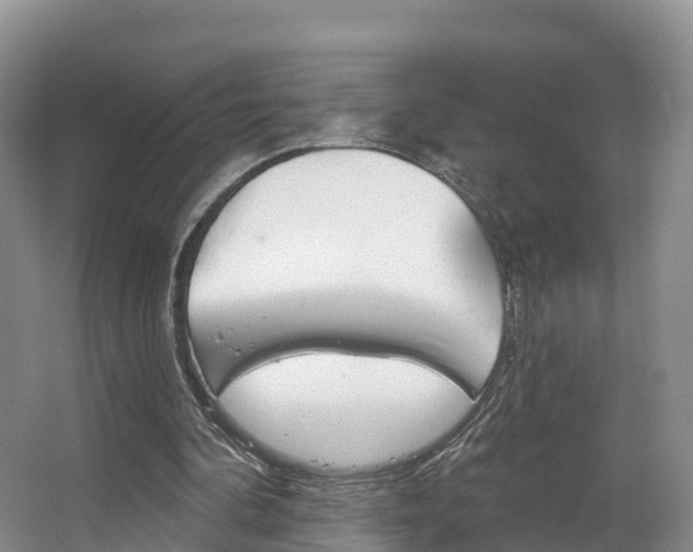 X0000067470292200604071000