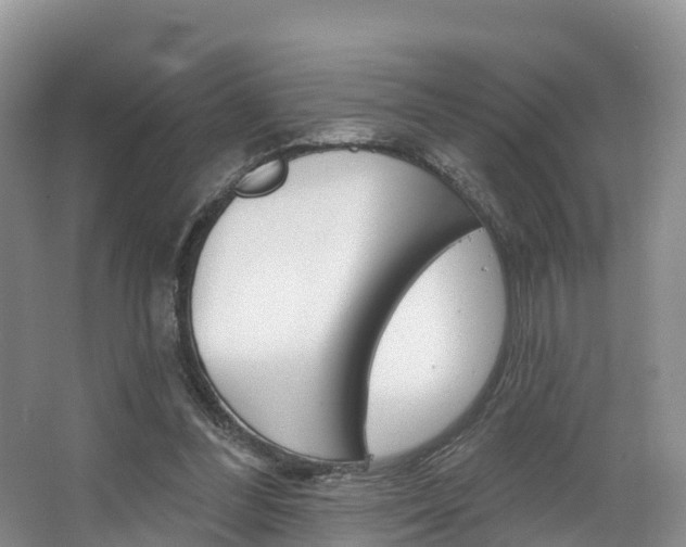 X0000067470300200604070959