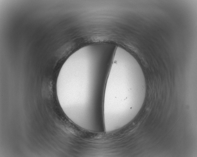 X0000067470308200604070959