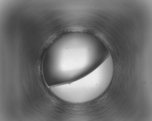X0000067470309200604070959