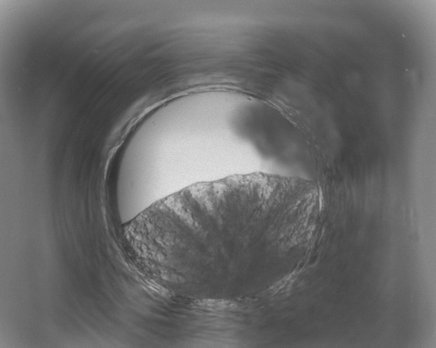 X0000067470339200604070958