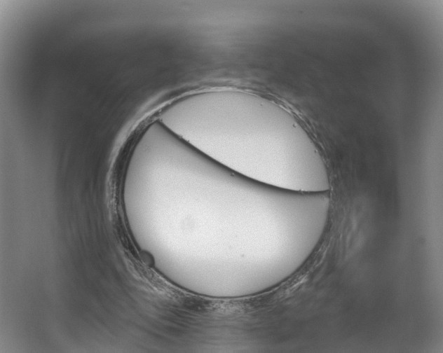 X0000067470343200604070958