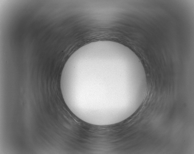 X0000067470384200604070959