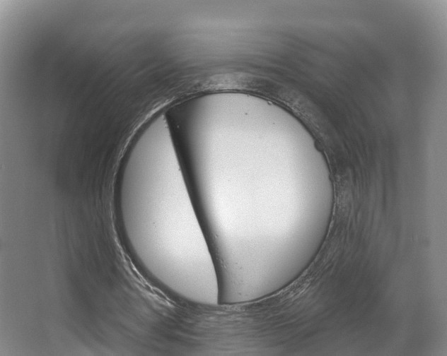 X0000067470386200604070958