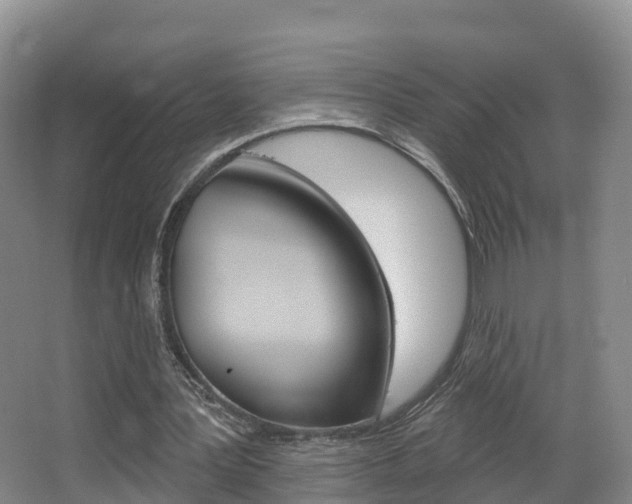 X0000067470387200604070958