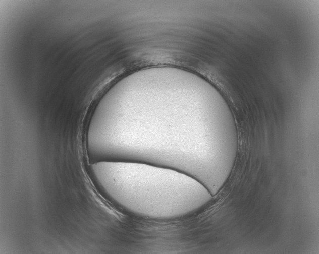 X0000067470390200604070958