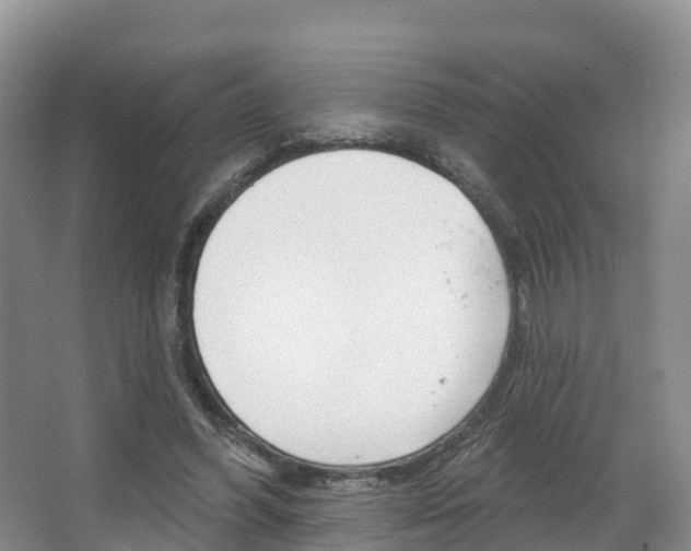 X0000067470396200604070958