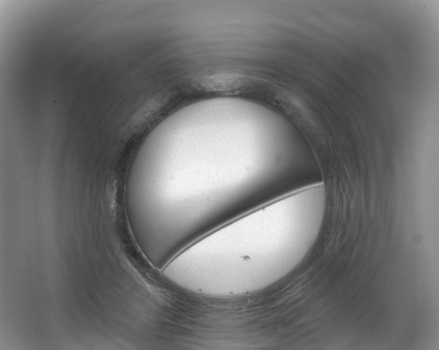 X0000067470404200604070958
