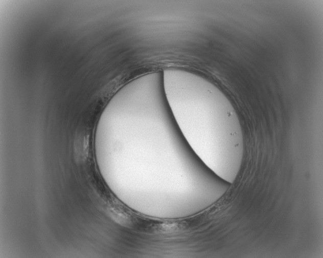 X0000067470406200604070958