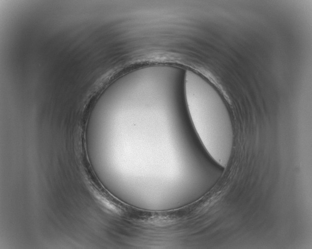 X0000067470445200604070957