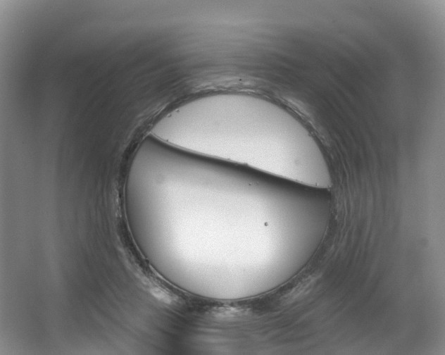 X0000067470453200604070957