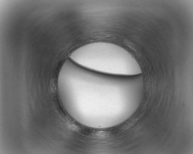 X0000067470467200604070957