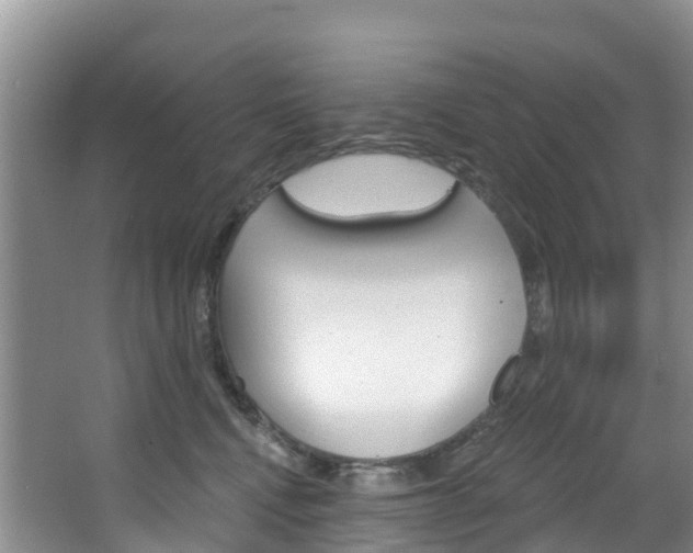 X0000067470472200604070957