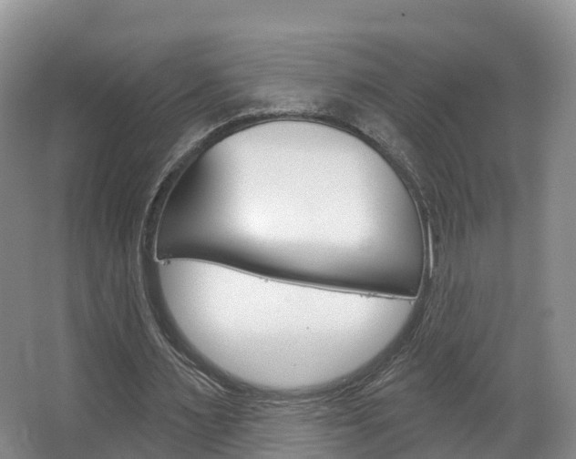 X0000067470483200604070956