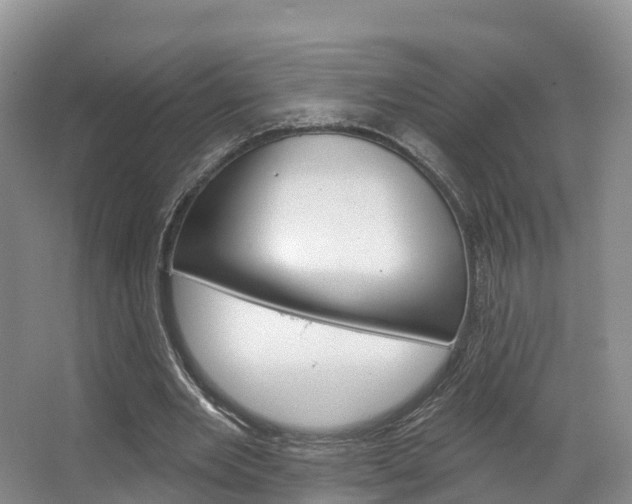 X0000067470485200604070956
