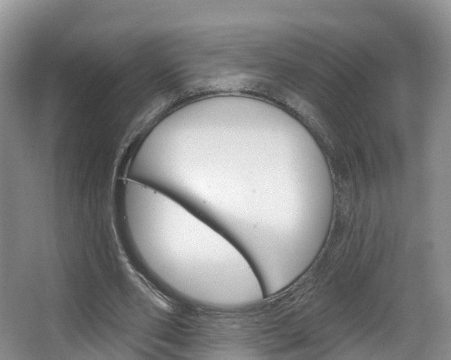 X0000067470486200604070956