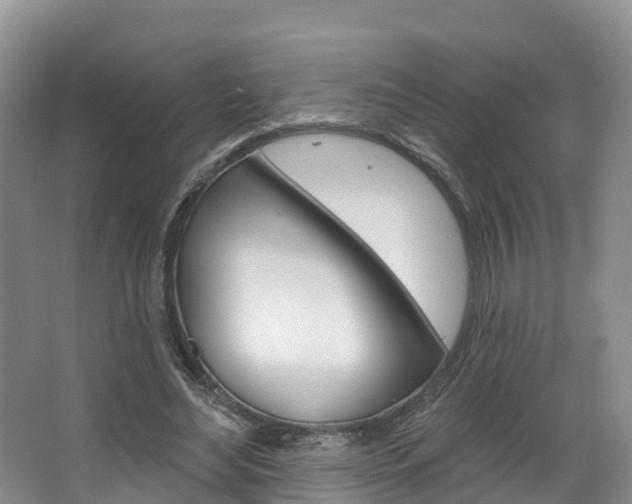 X0000067470492200604070956