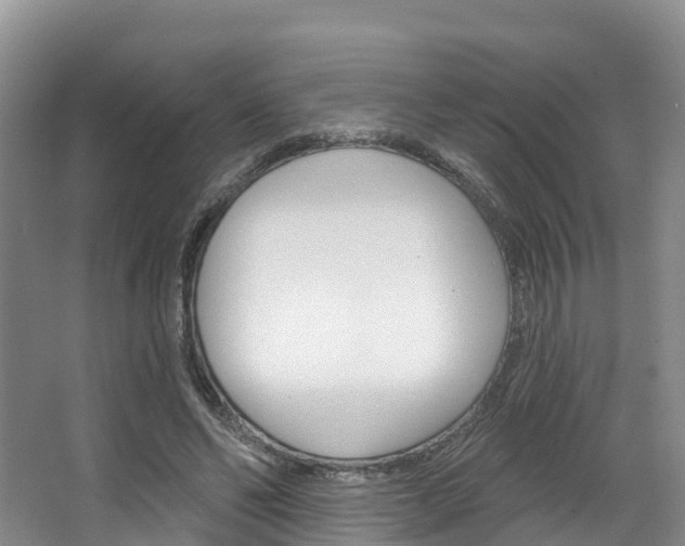 X0000067470494200604070956