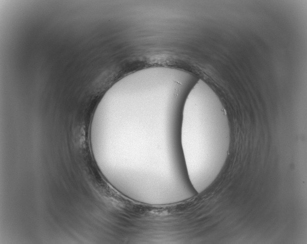 X0000067470502200604070956