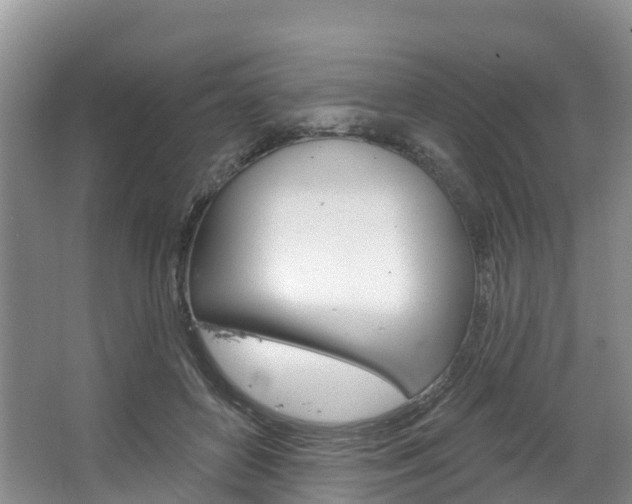 X0000067470504200604070956