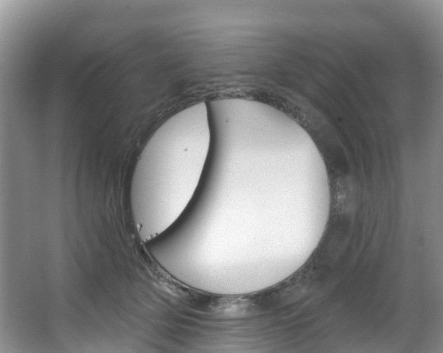 X0000067470514200604070956