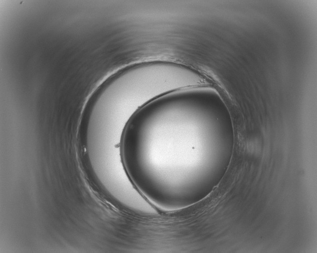 X0000067470532200604070955