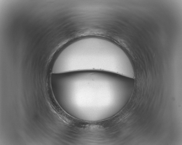 X0000067470539200604070955