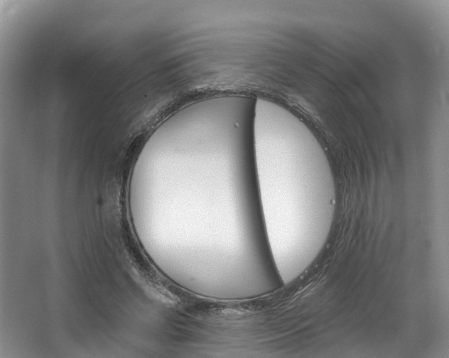 X0000067470542200604070955